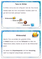 Vorschau - Unterrichtsreihen - Tiere im Winter – Unterrichtsreihe | Klasse 3–4 - Seite 3