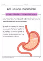 Vorschau - Unterrichtsreihen - Der menschliche Körper - Der Magen und der Darm - Seite 1