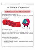 Vorschau - Unterrichtsreihen - Der menschliche Körper - Seite 2