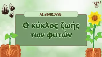 Προεπισκόπηση - Αφίσες - Ο μαγικός κύκλος ζωής των φυτών! - Εξώφυλλο