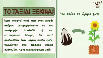 Προεπισκόπηση - Αφίσες - Ο μαγικός κύκλος ζωής των φυτών! - Σελίδα 1