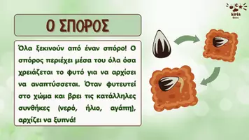 Προεπισκόπηση - Αφίσες - Ο μαγικός κύκλος ζωής των φυτών! - Σελίδα 2