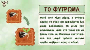 Προεπισκόπηση - Αφίσες - Ο μαγικός κύκλος ζωής των φυτών! - Σελίδα 3