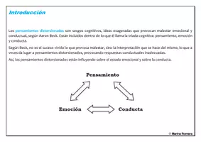 Vista previa - Hojas de trabajo - Diferentes perspectivas de un conflicto - página 1