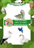 Vorschau - Stundenentwürfe - Vögel aus Europa karte - zu - karte (realistische Bilder) - Deckblatt