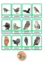 Vorschau - Stundenentwürfe - Vögel aus Europa karte - zu - karte (realistische Bilder) - Seite 1