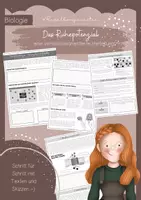 Vorschau - Arbeitsblätter - Das Ruhepotenzial der Nervenzelle - eine Herleitung - Deckblatt