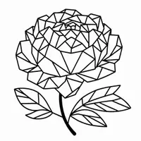 Aperçu - Matériel pour travaux manuels / dessin - Fleurs en Polygones - Coloriages (52 modèles à colorier) - Page de couverture