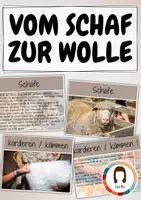 Vorschau - Präsentationen/Tafelbilder - Vom Schaf zur Wolle / Textiles Gestalten / Bildkarten / Wissenskarten - Deckblatt
