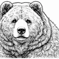 Aperçu - Matériel pour travaux manuels / dessin - Animaux d’Asie - Coloriages portraits (50 modèles à colorier) - Page 3