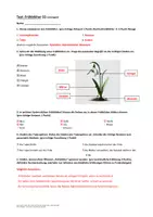 Vorschau - Arbeitsblätter - Materialpaket Frühblüher (Sachkunde) - Seite 2