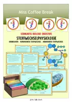 Vorschau - Merkblätter - Stoffwechsel der Zelle (Fotosynthese, Zellatmung, Glykolyse, Gärung, Vesikeltransport,...) - Lernkartei - Deckblatt