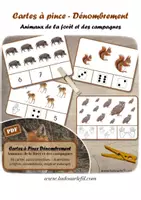 Aperçu - Apprentissages en autonomie - Cartes à pince - Dénombrement - Animaux de la forêt - Page de couverture