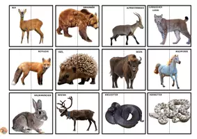Vorschau - Mal- und Bastelvorlagen - WILDE EUROPÄISCHE TIERE PUZZLE (VERTIKALE RICHTUNG) - Seite 1