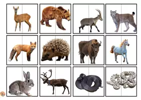 Vorschau - Mal- und Bastelvorlagen - WILDE EUROPÄISCHE TIERE PUZZLE (VERTIKALE RICHTUNG) - Seite 2