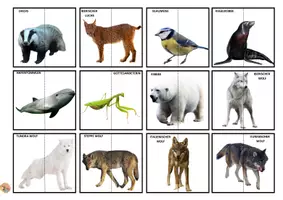 Vorschau - Mal- und Bastelvorlagen - WILDE EUROPÄISCHE TIERE PUZZLE (VERTIKALE RICHTUNG) - Seite 3