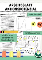 Vorschau - Arbeitsblätter - Arbeitsblatt Aktionspotenzial Lesen & Malen Neurobiologie - Deckblatt