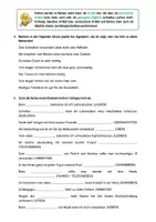 Vorschau - Arbeitsblätter - Groß- und Kleinschreibung - Arbeitsblatt - Seite 2