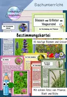 Vorschau - Text - Bestimmungskartei - Blumen und Gräser am Wegesrand - Deckblatt