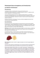 Vorschau - Spiele - Geländespiel fürs Klassenlager/ Klassenfahrt zum Thema Umweltschutz und Tiere - Seite 2