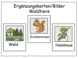 Vorschau - Stationenlernen - Ergänzungskarten Lesekamera Wald - Deckblatt