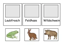 Vorschau - Stationenlernen - Ergänzungskarten Lesekamera Wald - Seite 3