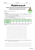 Vorschau - Arbeitsblätter - Modellversuch: Substratabhängigkeit von Enzymen - Seite 1