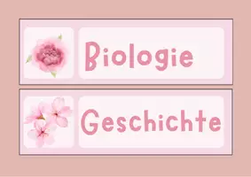 Vorschau - Poster - Stundenplankarten Frühlingsblumen rosa - Seite 3