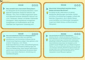 Vorschau - Merkblätter - Ökologie - Lernkartei - Seite 3