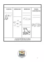 Vista previa - Hojas de trabajo - ANIMAL CLASSIFICATION FLIPBOOK - página 3