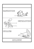 Vista previa - Hojas de trabajo - ANIMAL CLASSIFICATION FLIPBOOK_INVERTEBRATES - página 2