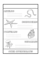 Vista previa - Hojas de trabajo - ANIMAL CLASSIFICATION FLIPBOOK_INVERTEBRATES - página 3