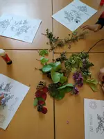Vista previa - Hojas de trabajo - PARTS OF A PLANT 1st grade - página 1