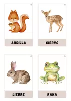 Vista previa - Tarjetas / Manipulativos - Animales del bosque - página 2