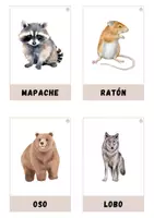 Vista previa - Tarjetas / Manipulativos - Animales del bosque - página 3