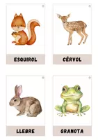 Vista previa - Tarjetas / Manipulativos - Animals del bosc - página 2