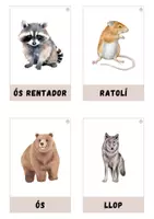 Vista previa - Tarjetas / Manipulativos - Animals del bosc - página 3