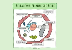 Vorschau - Arbeitsblätter - LERNTHEKE: MIKROORGANISMEN (+Rätsel + Quiz) - Seite 3