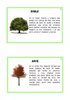 Vista previa - Tarjetas / Manipulativos - Árboles - página 2