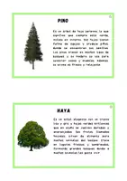 Vista previa - Tarjetas / Manipulativos - Árboles - página 3