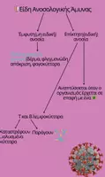 Προεπισκόπηση - Πλάνο μαθήματος / Υλικό για τον εκπαιδευτικό - Δομή & λειτουργία ανοσοποιητικού συστήματος - Σελίδα 1