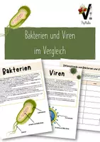 Vorschau - Arbeitsblätter - Bakterien und Viren im Vergleich - Deckblatt