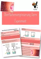 Vorschau - Arbeitsblätter - Oberflächenvergrösserung im Darm - Deckblatt