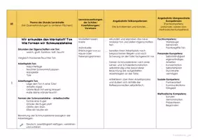 Vorschau - Lehrpläne/Lehrermaterial - Sequenzplan Ton Drei Gewinnt Spiel - Seite 2