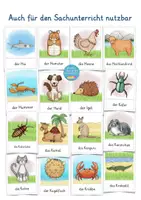 Vista previa - Decoración del aula - Alemán Bildkarten Tiere Deutsch - página 3