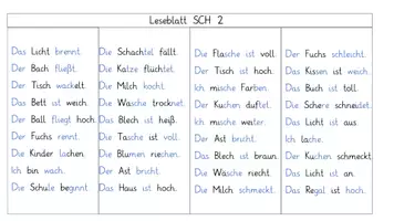 Vorschau - Arbeitsblätter - Materialpaket differenzierte Leseblätter Sch/ch/d/k/g/ei/au - Deckblatt