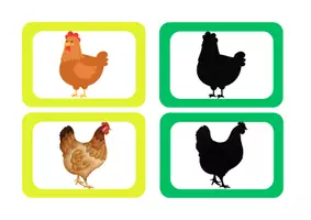 Aperçu - Apprentissages en autonomie - Associer images et ombres La Petite Poule Rousse - Page de couverture