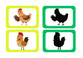 Aperçu - Apprentissages en autonomie - Associer images et ombres La Petite Poule Rousse - Page 1
