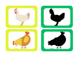Aperçu - Apprentissages en autonomie - Associer images et ombres La Petite Poule Rousse - Page 2