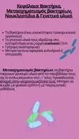 Προεπισκόπηση - Πειράματα - ΒΑΚΤΗΡΙΑ-ΜΕΤΑΣΧΗΜΑΤΙΣΜΟΣ ΒΑΚΤΗΡΙΩΝ&ΠΕΙΡΑΜΑΤΑ - Εξώφυλλο